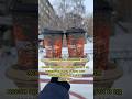 песни про деньги только для бедных? 🤑#youtubeshorts #иркутск #рек #музыка #деньги #шортс #подпишись