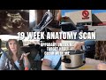 19 Week Anatomy Scan- Weight Gain?! | Target Haul | UPPABABY Unboxing | Felicia Keathley