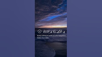 اكتب شيء تؤجر عليه 🤲القارئ عبدالرحمن مسعد