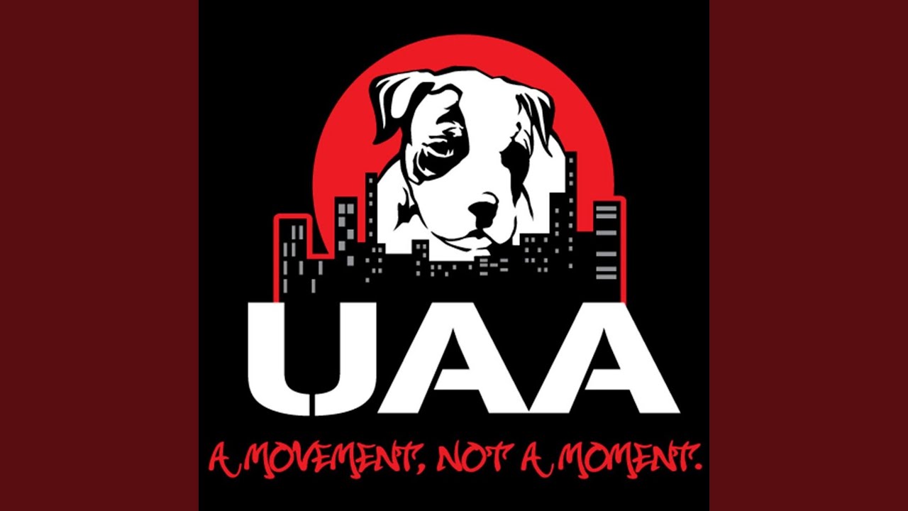 Stop Fighting the Dogs