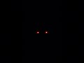 Eternal nightmares is a upcoming sonic.exe asym game! #roblox #sonixexe #sonic #horror