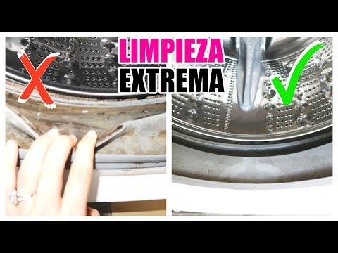 COMO QUITAR EL MOHO DE LA LAVADORA en menos de una hora! Cristal Cotrell