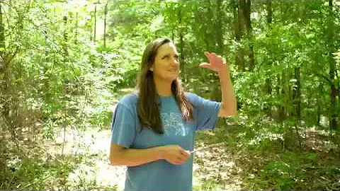 Forest-Guided Therapy with Nancy Goldman, PMHCNS, BC