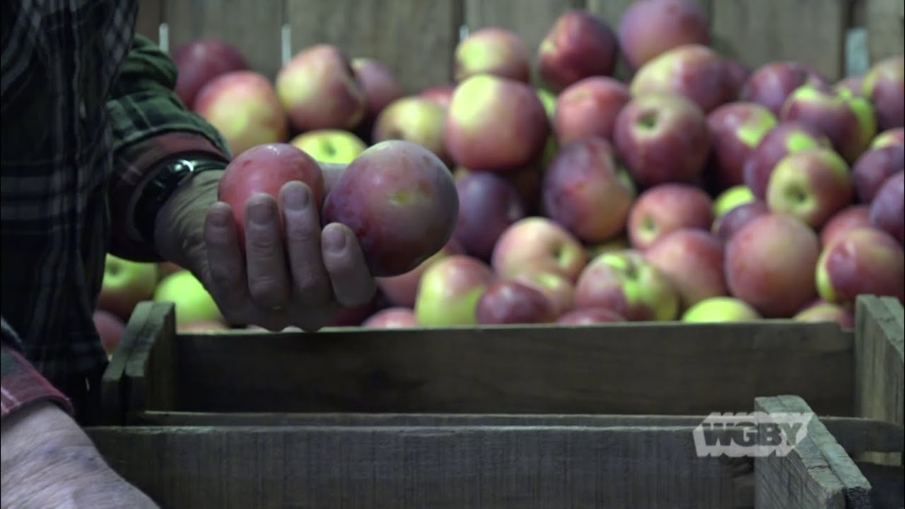 Winter Farmers Markets, Pt.1: Meet the Farmers | Connecting Point | Feb. 12, 2019