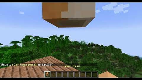 How to give yourself custom player heads in Minecraft 1.18.2