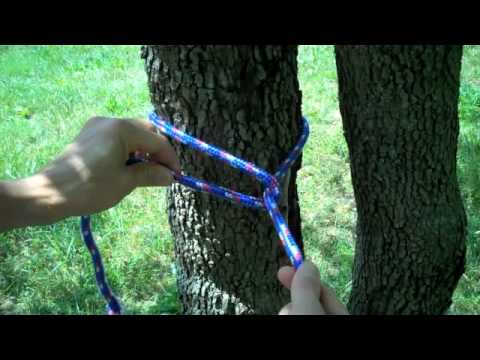 Video: How To Tie A Tree