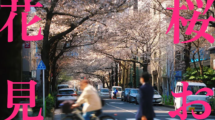 18 BEST Cherry Blossom Spots in TOKYO and KYOTO Ranked