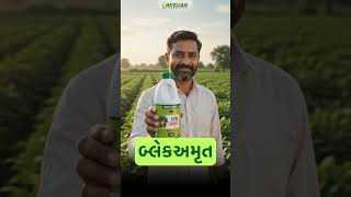 મગફળીનો પાક કેમ નિષ્ફળ જાય છે? જાણો!