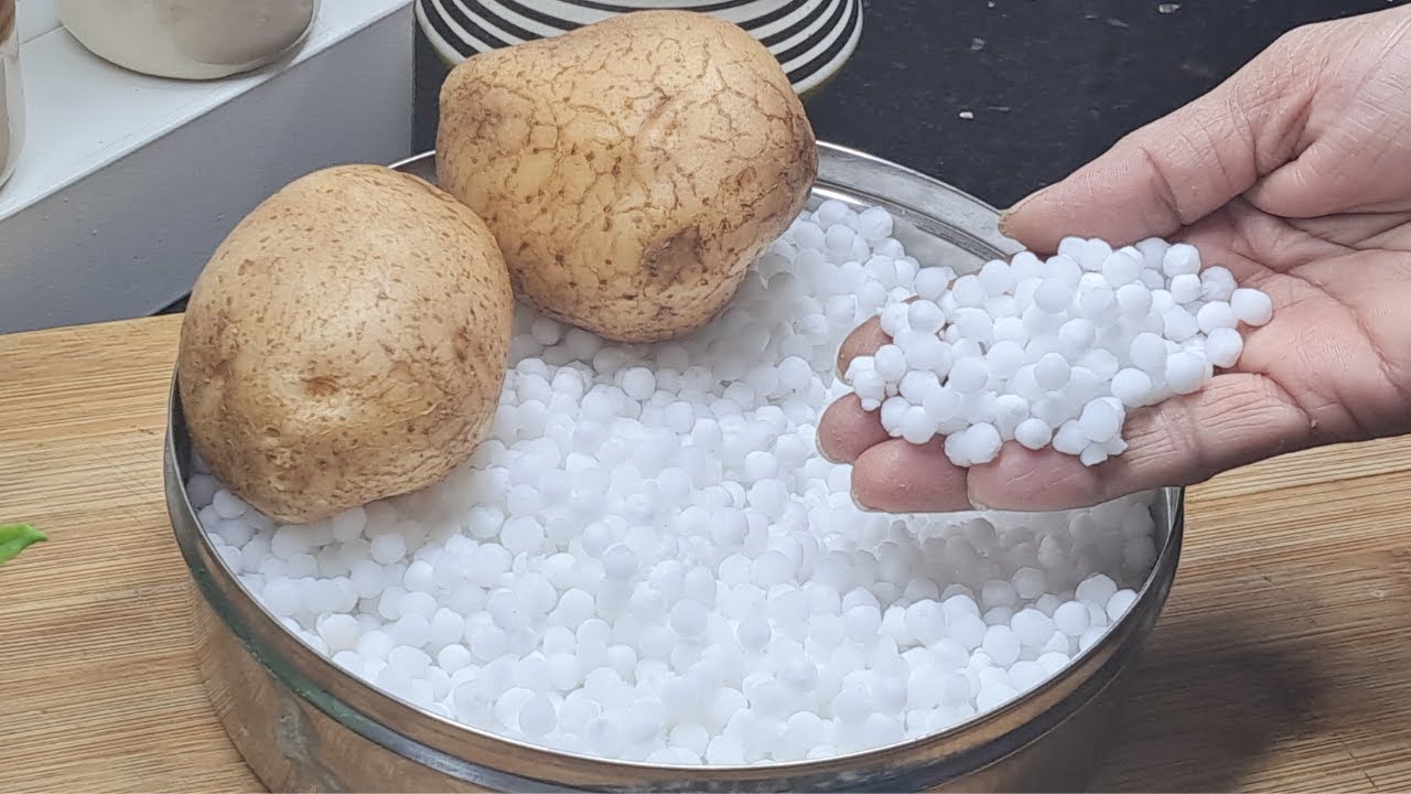 4 ಪಟ್ಟು ಅರಳುವ 2 ಆಲೂಗಡ್ಡೆ👉ಸಬ್ಬಕ್ಕಿ ಇಂದ ಬಾಯಲ್ಲಿ ಇಟ್ಟರೆ ಕರಗುವ👌1ವರ್ಷ ಕೆಡಲ್ಲಈ ರೀತಿ ಒಮ್ಮೆ ಮಾಡಿ ನೋಡಿ👌happla