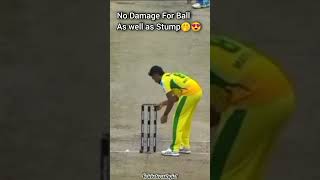 His Care On Ball And Stumpmatheesha Pathirana