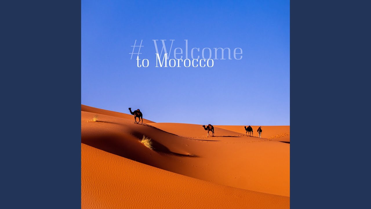 Watch Safari: Morning Sun on YouTube Watch Safari: Morning Sun on YouTube