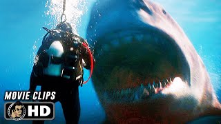 MEG 2 THE TRENCH CLIP COMPILATION #2 (2023) Megalodon, Movie CLIPS HD