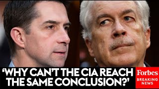 WATCH: Tom Cotton Grills CIA Director On Disagreement With FBI Over COVID-19 Lab Leak Theory