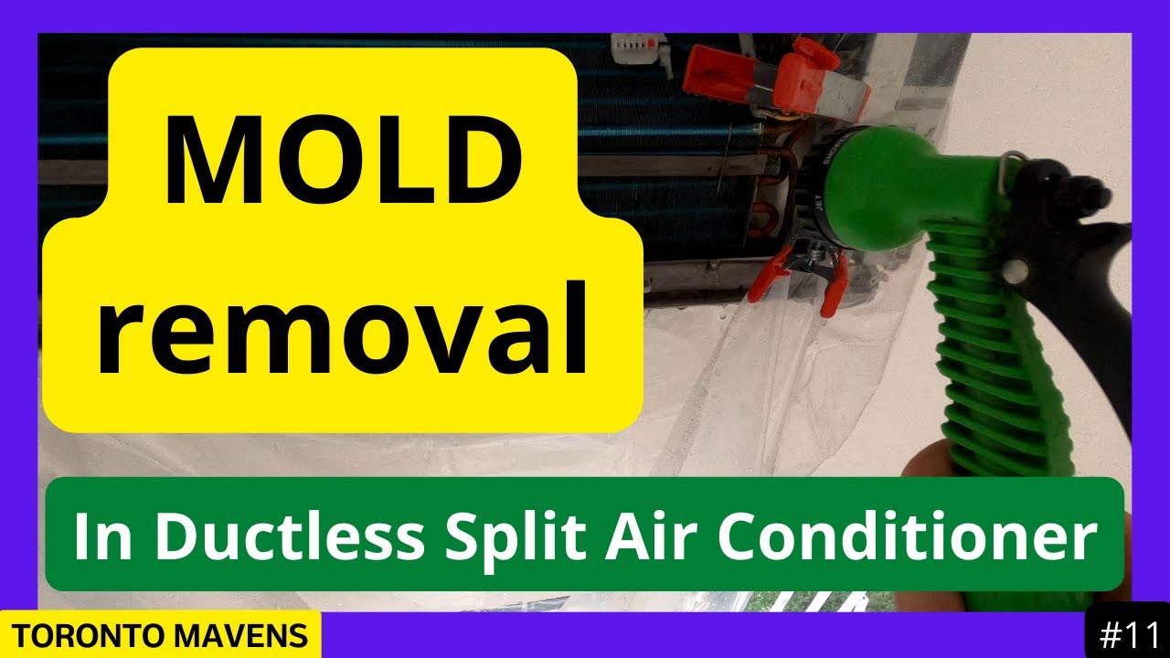 Ductless smells like MOLD? An appliance technician from Toronto cleans a ductless air conditioner