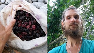 How Just One LIQUID DAY Can Completely Change Your LIFE Forever