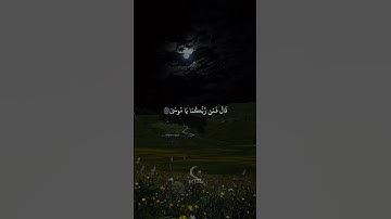 سورة طه | القارئ رعد الكردي  #تلاوة_خاشعة