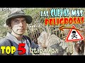 ¡Las CINCO CUEVAS MÁS PELIGROSAS! del Cerro de la Estrella Iztapalapa CDMX ¡Busco sus TESOROS!