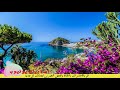 قمر سيدنا النبي مؤمن الجناني قمر سيدنا النبي مؤمن الجناني
