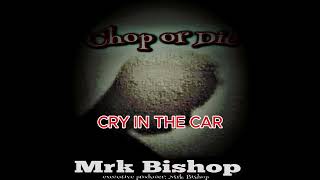 CRY IN THE CAR BY MRK BISHOP
