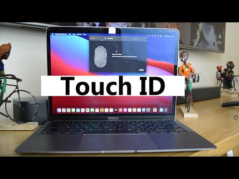 How To Setup