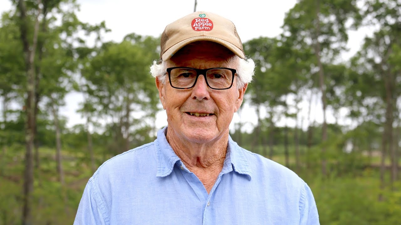 A Symphony of Songbirds at Red Apple Farm | Phillipston, Mass. | early successional habitat