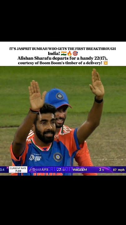 Download lagu courtesy of Boom Boom’s timber of a delivery! 💥 #trending #cricket