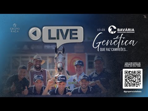 Live Haras Bavaria