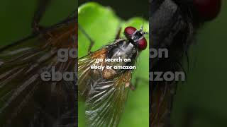 Great $150 1.5x Macro Lens that fits all cameras