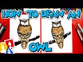 How to draw a realistic owl