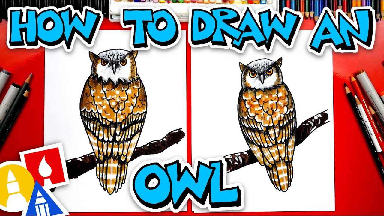 How To Draw A Realistic Owl - YouTube