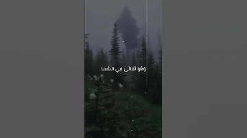الإستواء على العرش القصيدة الرباعية في الوعظ والسنة بصوت أسامة الواعظ 