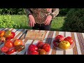 Презентация сортов томатов 2019 года
