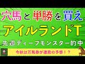 【2025 アイルランドトロフィー】あの馬の『単勝』を買いたい!妙味バツグン!狙いの穴馬も!
