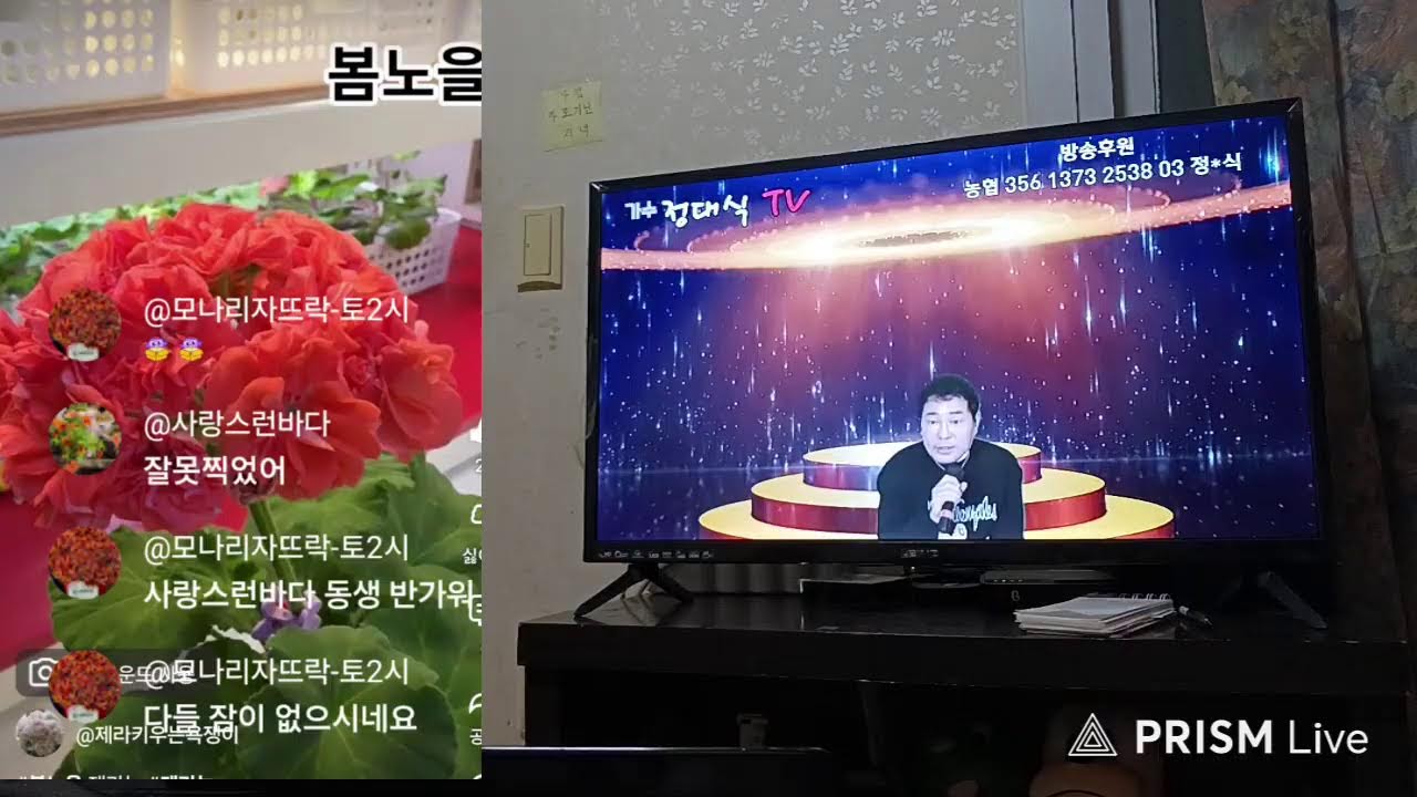 2/25. 외출 후 저녁 잠자고 일어나,,,,,🌺 heasal some 🌺  라이브 방송