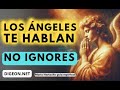 Los ngeles tienen unmensaje de los ngeles para ti  no ignores  digeon abundia ens verti