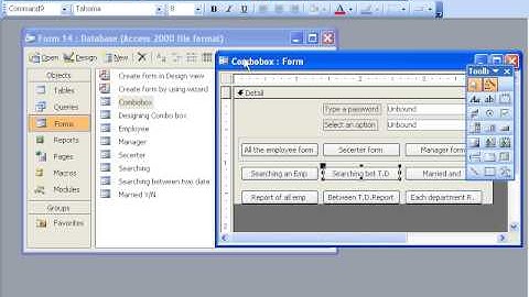 MS Access 2003 Part 26) Form in Dari / Farsi Omar Akbari
