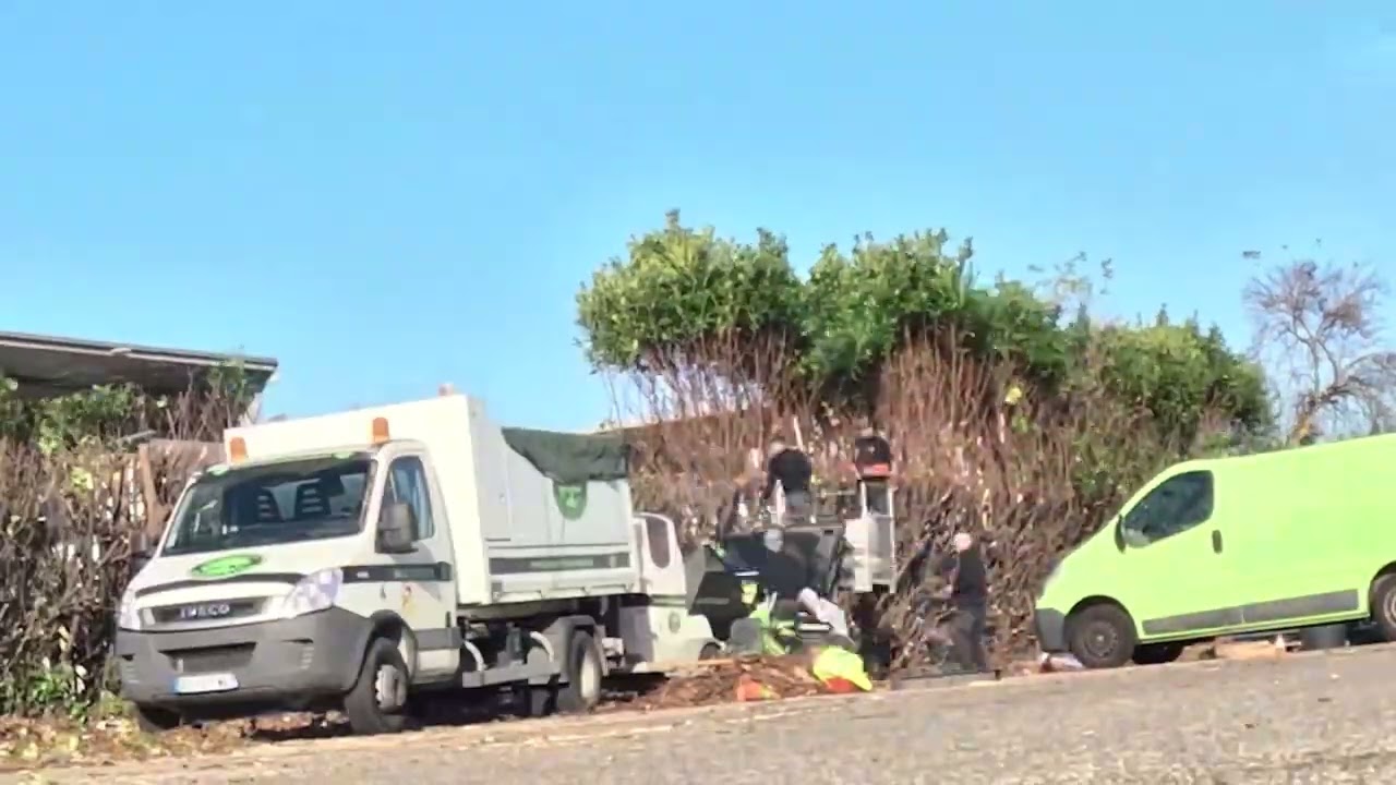 Remise en état d'une haie sur site industriel