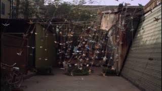 Hammock - Breathturn (Official Video) {HD 720p}