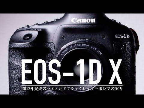 作例付き】10年以上前のフラッグシップ一眼レフEOS-1D Xは今でも