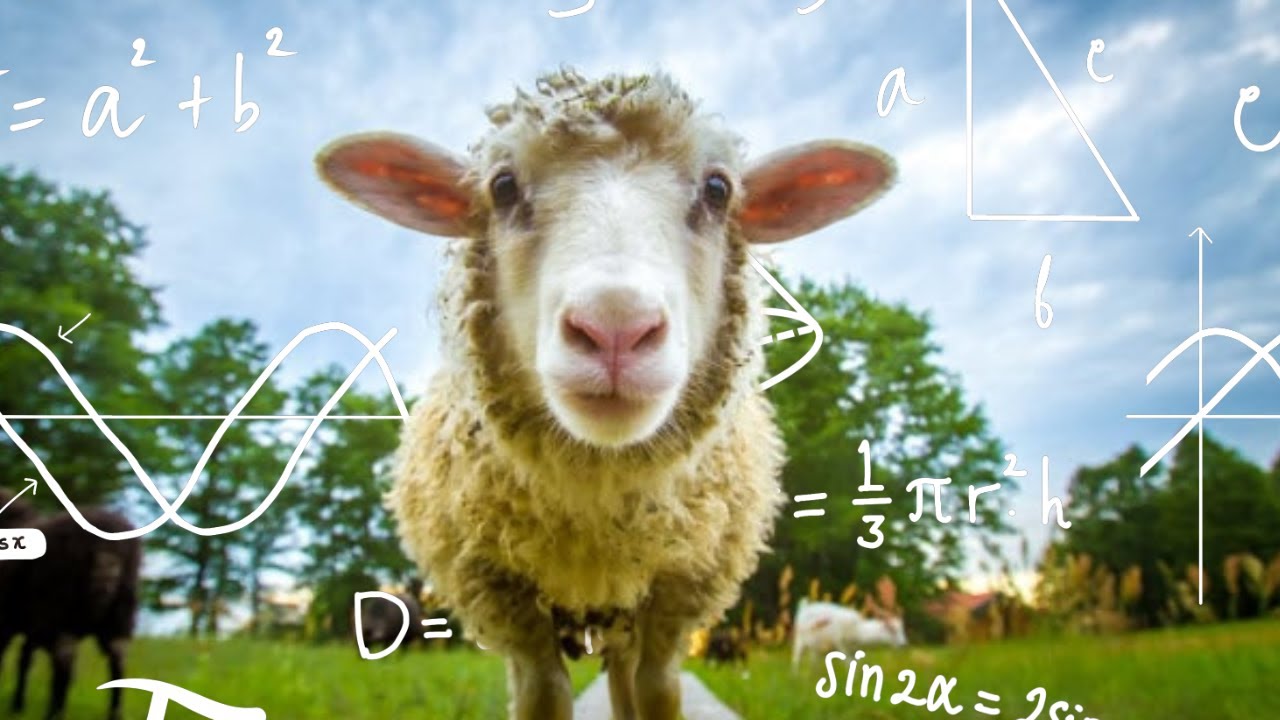The Surprising Intelligence of Sheep (Ft. 