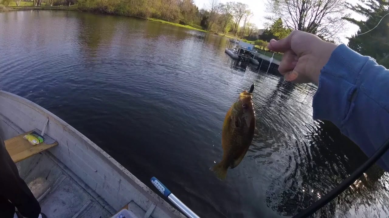 Catching Monster Gills in Community Pond!!