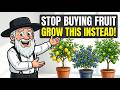 Stop Buying Fruit Forever! 5 Pot Trees the Amish Have Grown for 200 Years