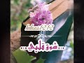 شوق قلبي مهند الوليدي 