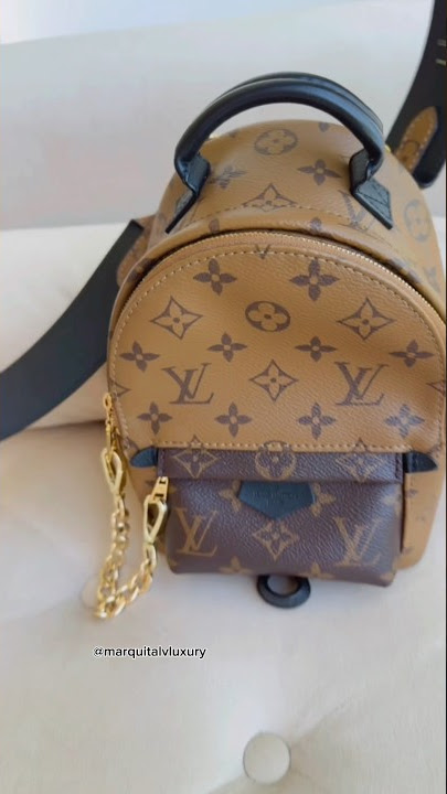 Louis Vuitton Montsouris PM – Luxie Club