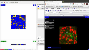 Catmaid Ilastik Integration - Pixel Classification