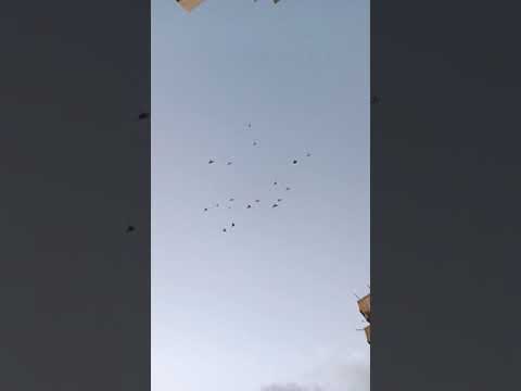 تعبنا وشقينا ومحدش خيرة علينا