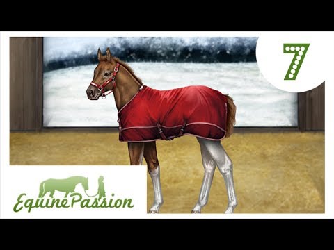 Equine Passion [EP]: Wir ZÜCHTEN das 1. Mal ? | Let's Play #7 [DEUTSCH]