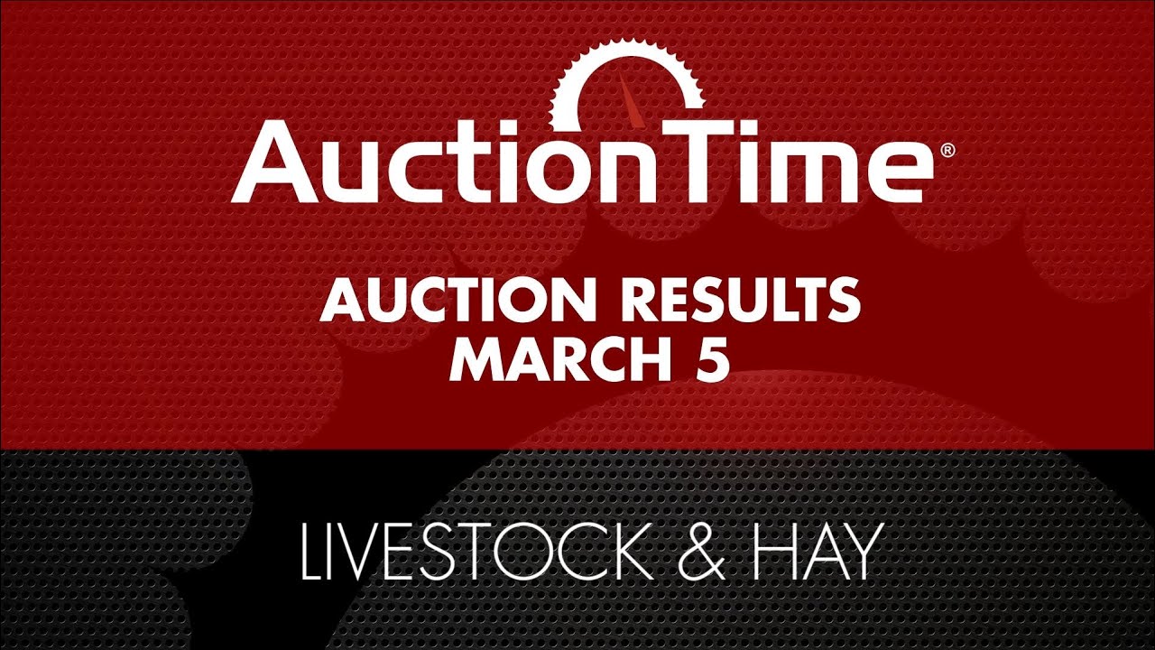 Livestock & Hay Auction Results - March 5, 2025