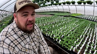 OUR PLANTS ARE UNDER ATTACK by The Veggie Boys 89,259 views 3 weeks ago 17 minutes