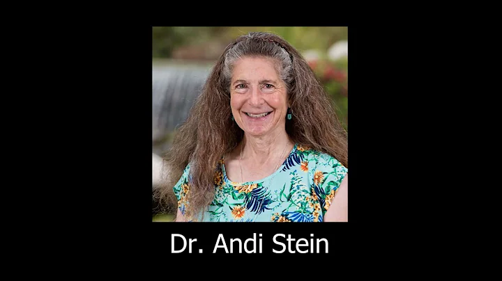 COMM 410 - Interview with Dr. Andi Stein